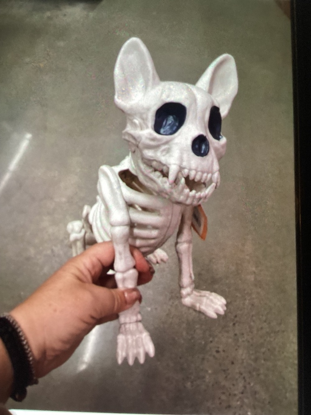 New Halloween Dog Skeleton Decor